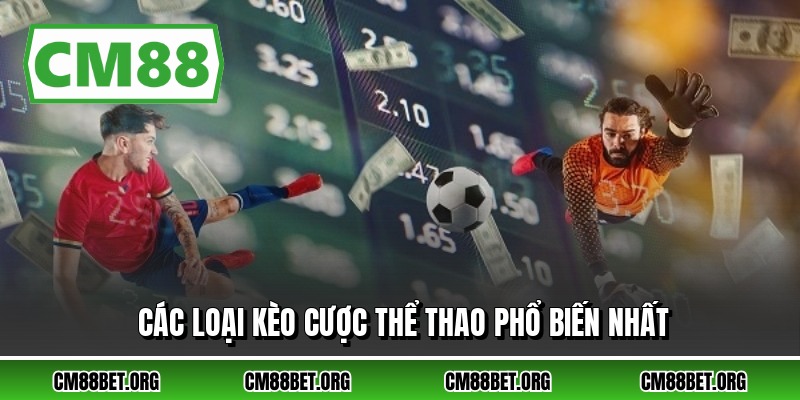 Các loại kèo cược thể thao phổ biến nhất