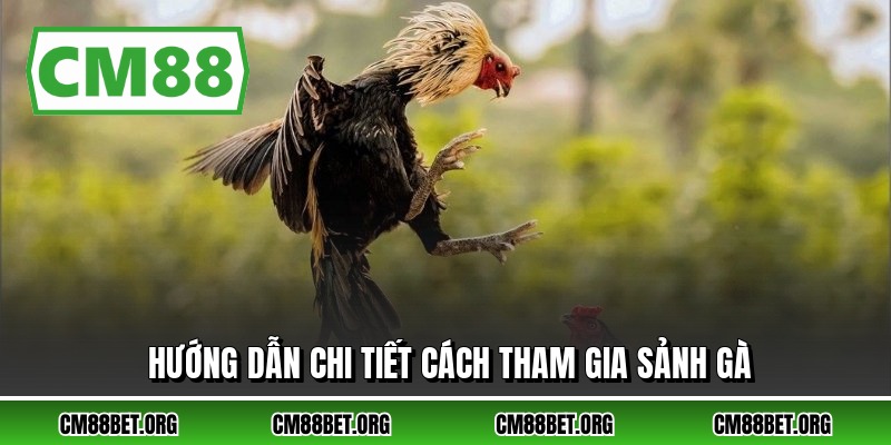 Hướng dẫn chi tiết cách tham gia sảnh gà