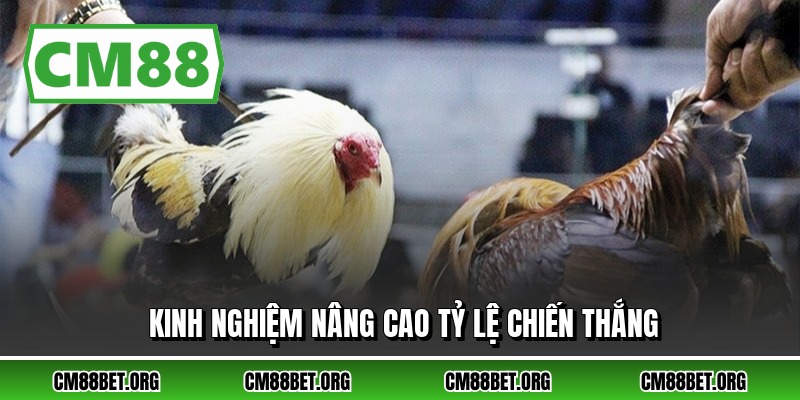 Kinh nghiệm nâng cao tỷ lệ chiến thắng