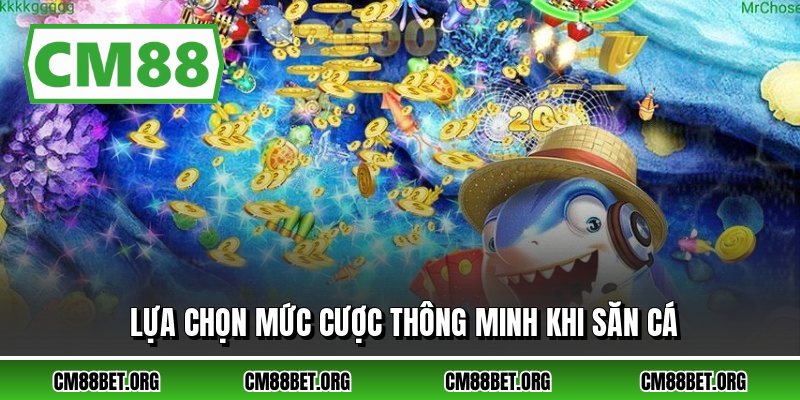 Lựa chọn mức cược thông minh khi săn cá