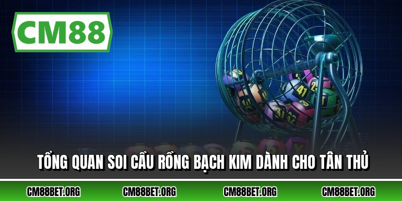 Tổng quan soi cầu rồng bạch kim dành cho tân thủ