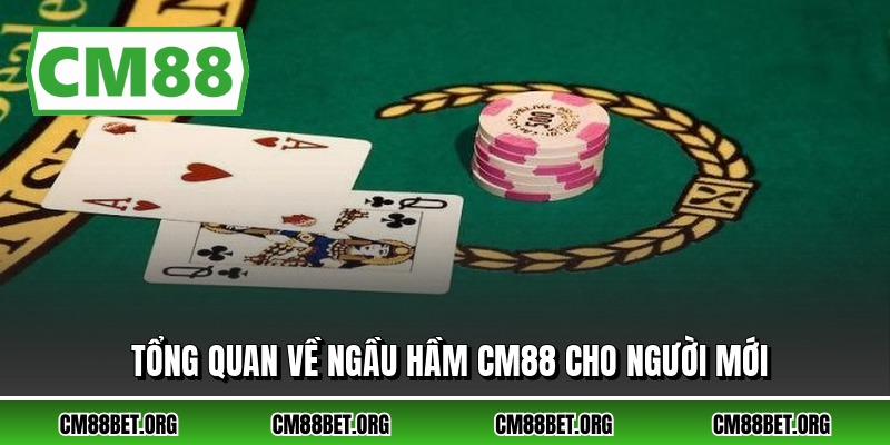 Tổng quan về ngầu hầm CM88 cho người mới